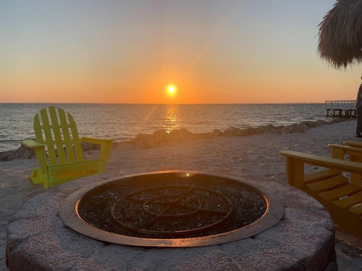 Sunset Paradise - Find Yourself In Tampa Exterior foto